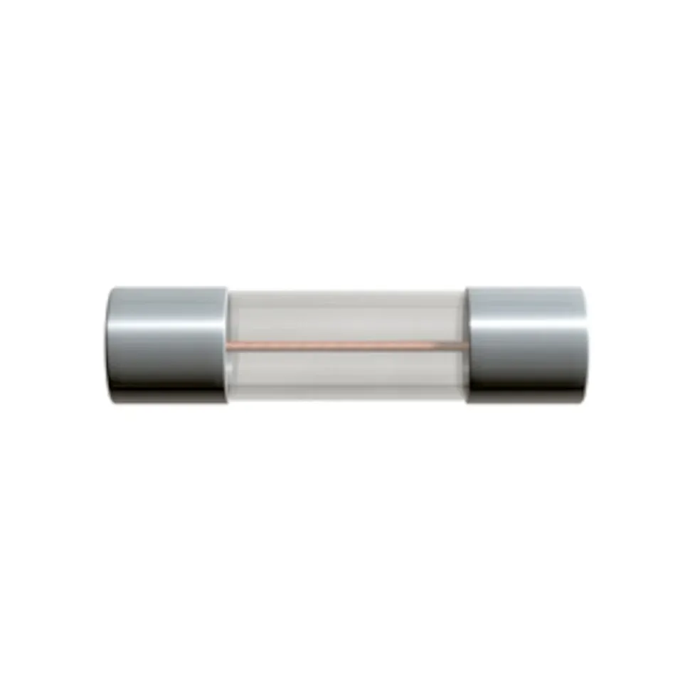 Glasrörssäkring 5x20 mm 250 mA Snabb (F) 1-pack