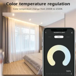 Gledopto RGB+CCT Wifi-controller för LED-list