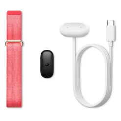 Google Fitbit Air skärmlöst aktivitetsarmband Berry