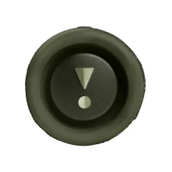 JBL Flip 6 Portabel trådlös högtalare Grön