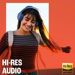 JBL Tune 530C USB-C on-ear-hörlurar Svart