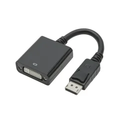 Luxorparts Adapter Displayport till DVI