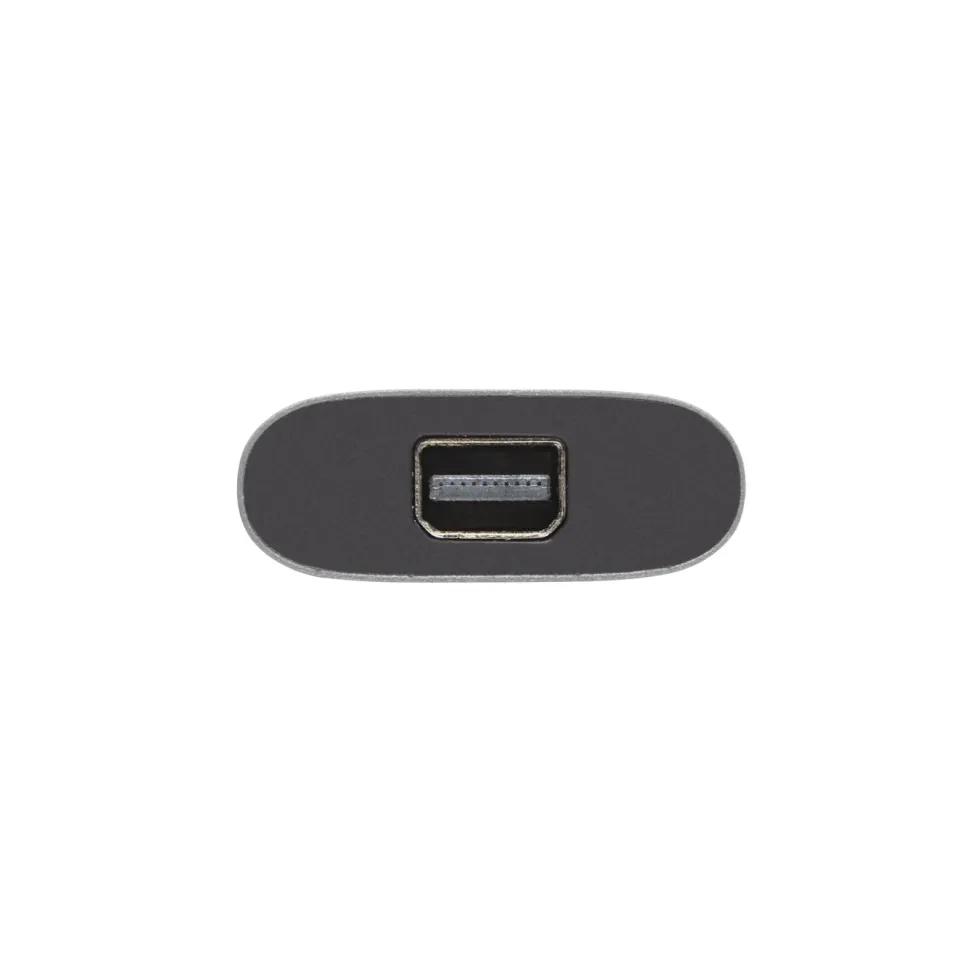 Luxorparts Adapter USB-C till Mini-displayport