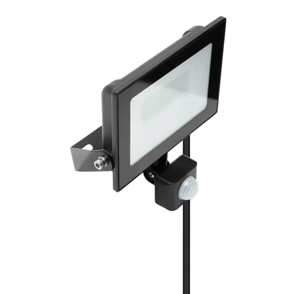 Luxorparts LED-strålkastare med rörelsesensor 30 W (3380 lm)