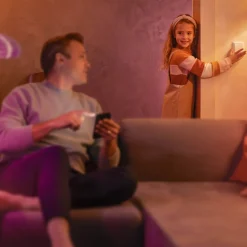 Philips Hue Väggbrytarmodul 2-pack