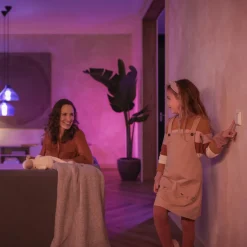 Philips Hue Väggbrytarmodul 2-pack