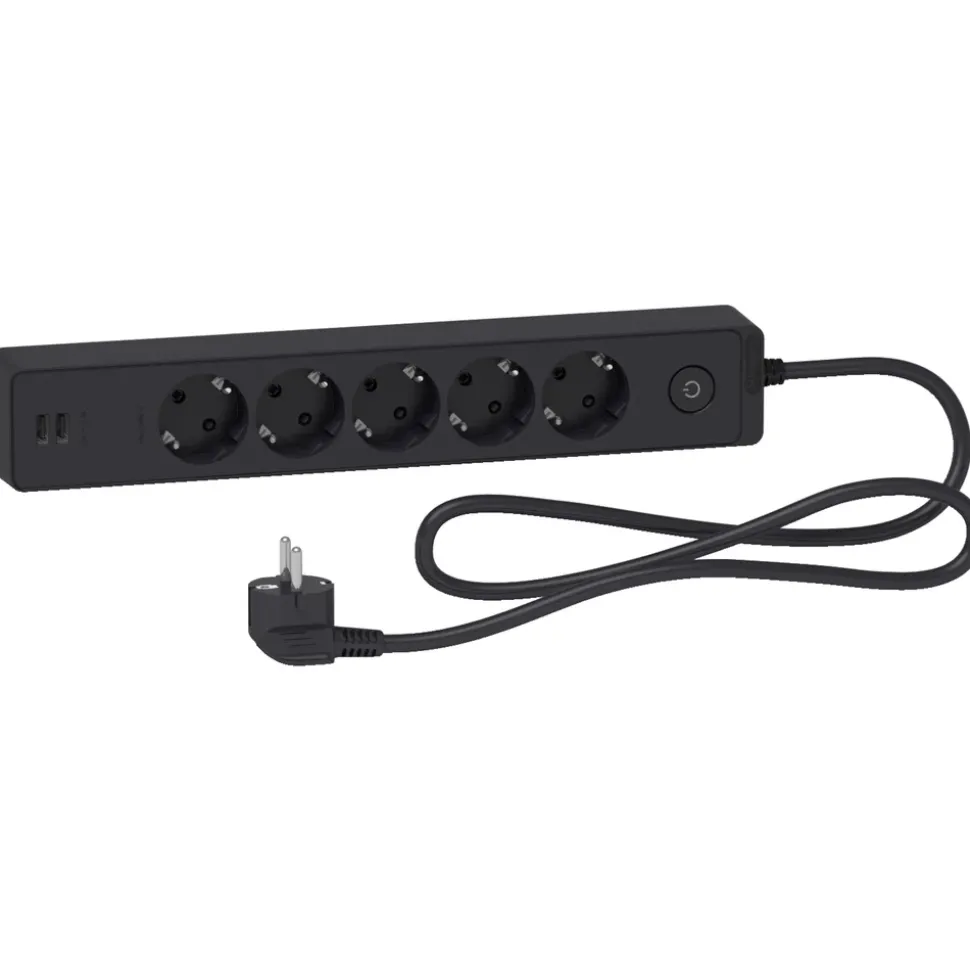Schneider Electric Grenuttag med brytare och USB-uttag 5-vägs Svart