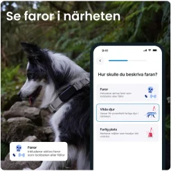 Tractive DOG 6 – Hund-GPS med hälsospårning