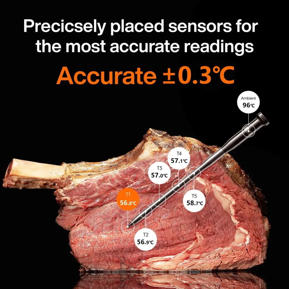 Typhur Sync Dual trådlös grill- och stektermometer med två sonder