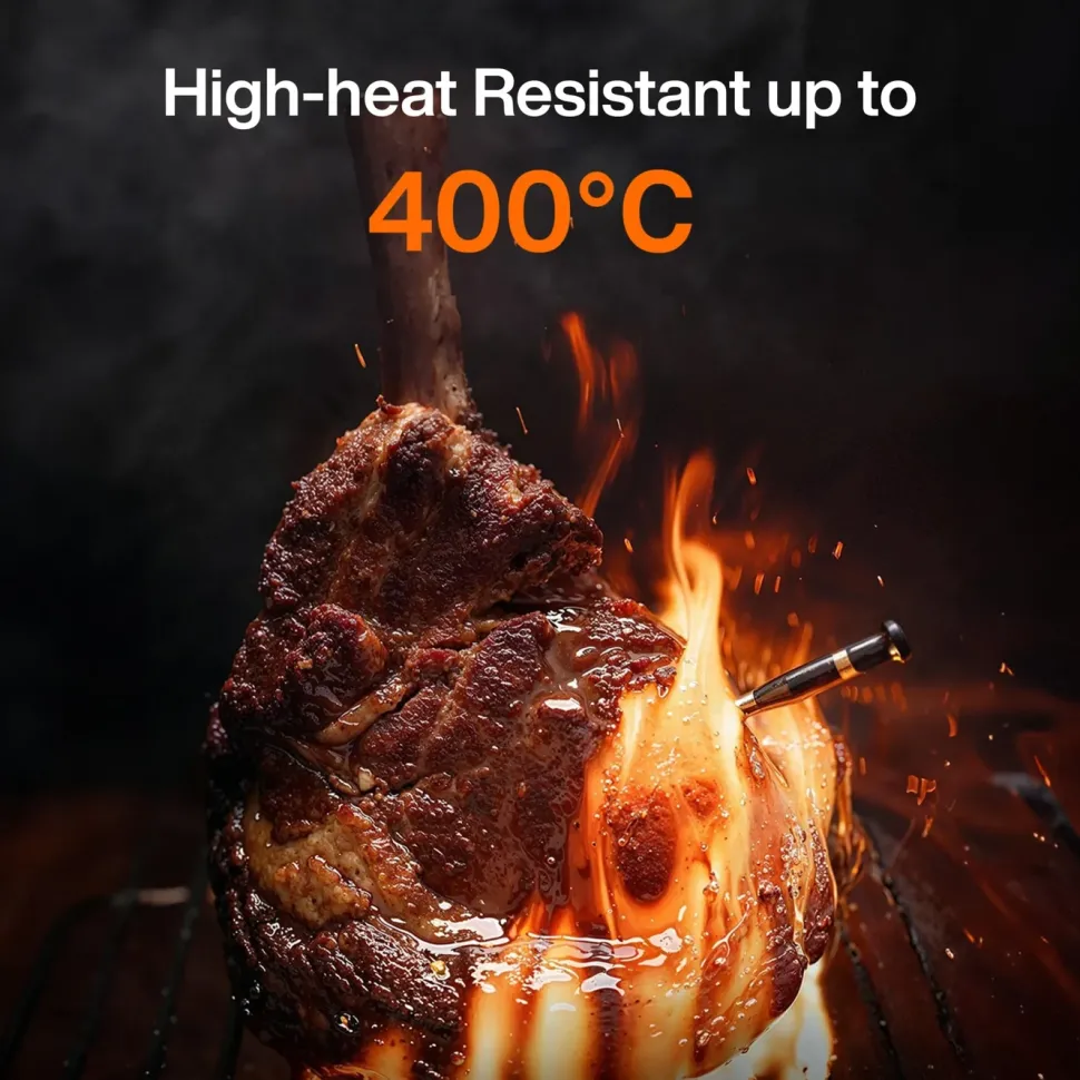 Typhur Sync Dual trådlös grill- och stektermometer med två sonder
