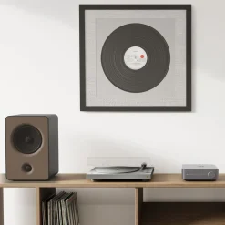 WiiM Amp Stereoförstärkare med streaming